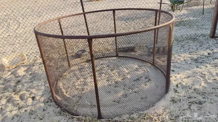 شبك رودس نظيف 0