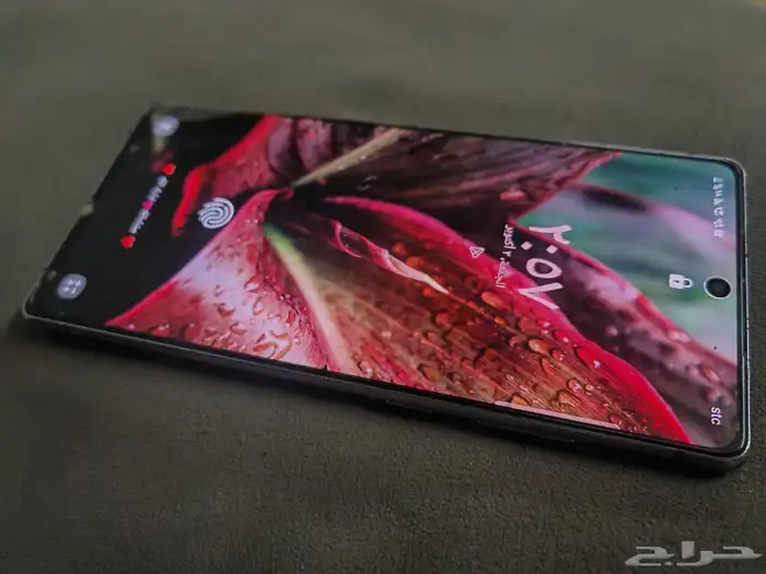 نت عشرين عادي 0