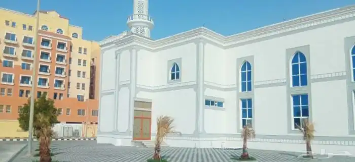 الياسه ملونه بديل الحجار الطبيعي تغنيك عن الياسه العديه وسعر 0