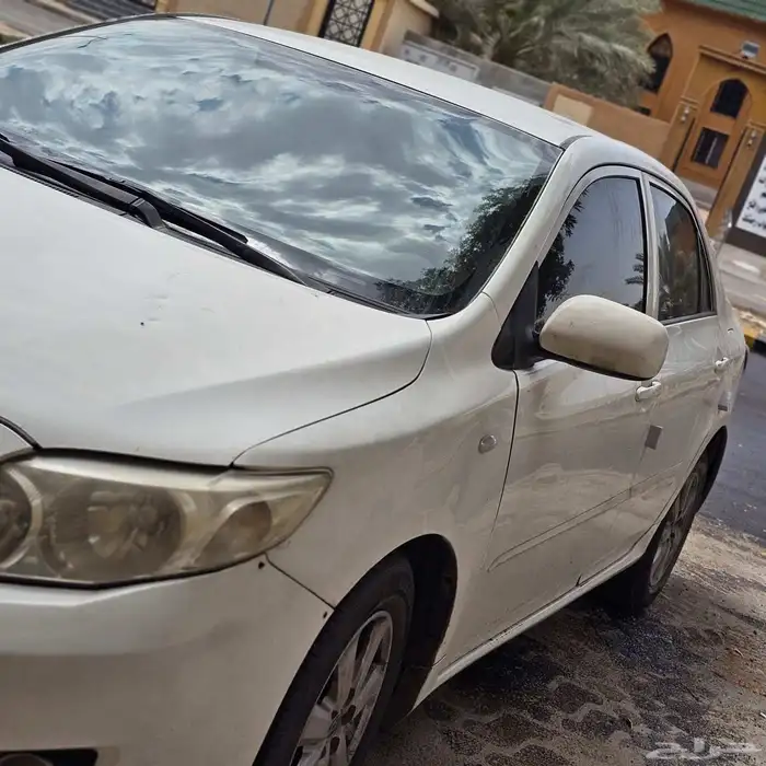 كورلاء للبيع 1