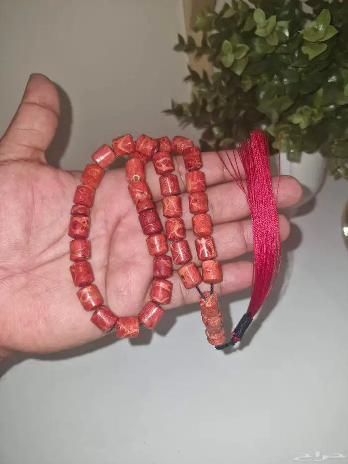 سبحه مرجان اندنوسي 6