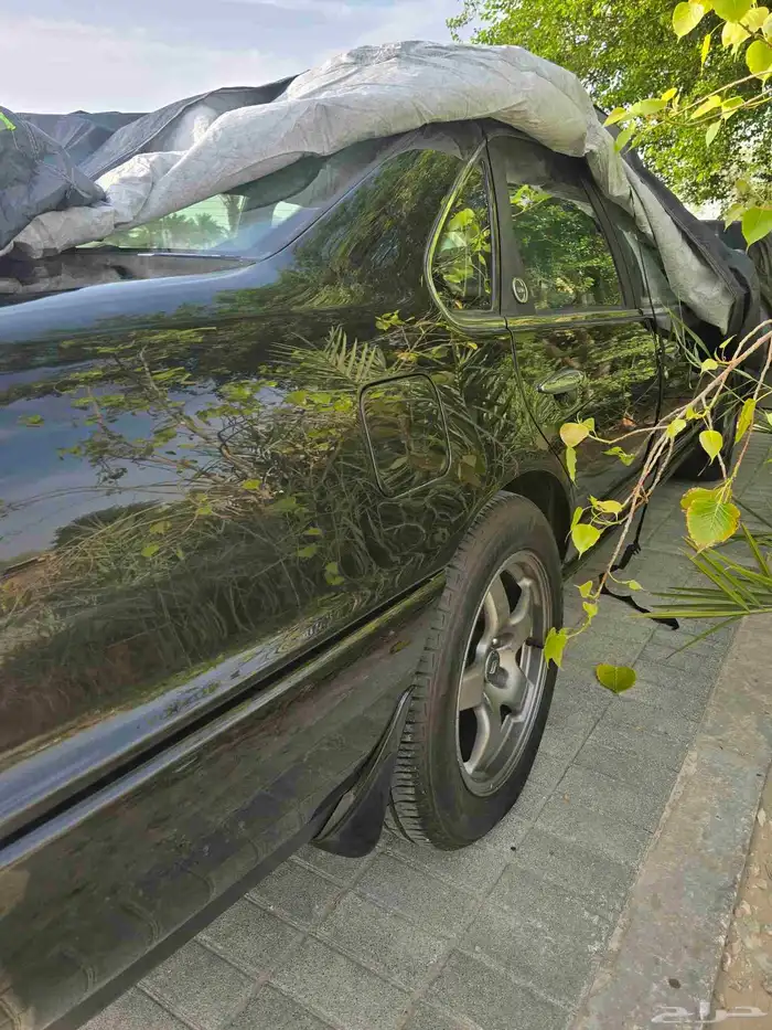 نيسان التيما موديل 92 8