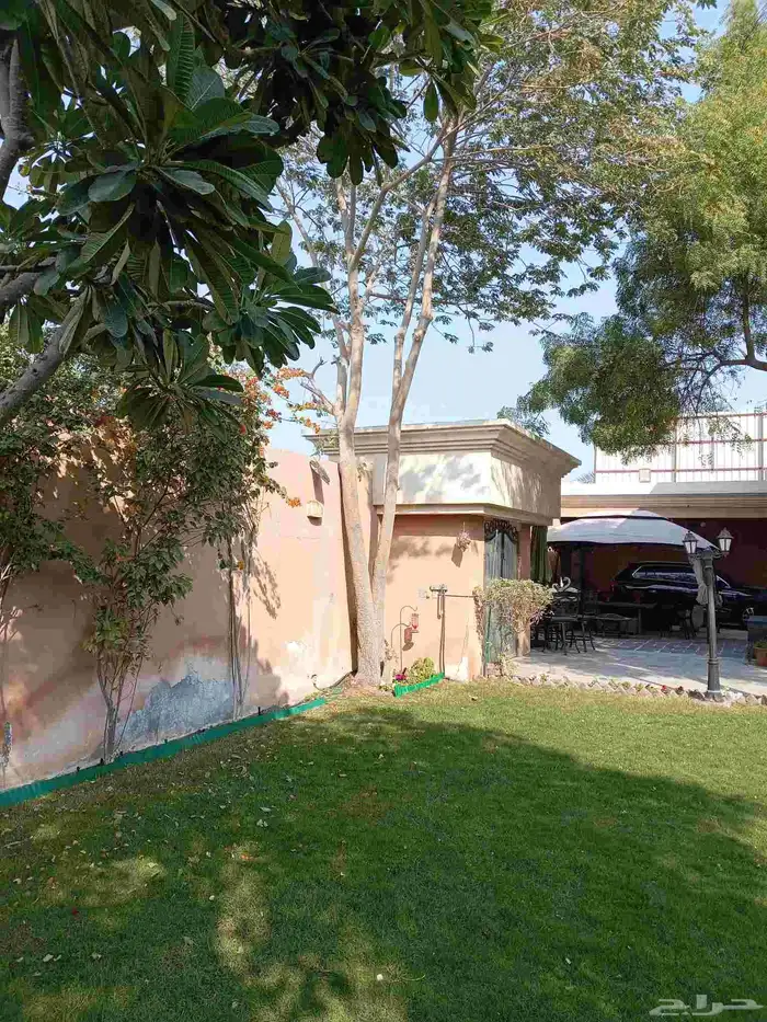 بيع النخيل الوشنطن وزرعه العشب الطبيعي وزرعه الشجار وتسيك ال 2