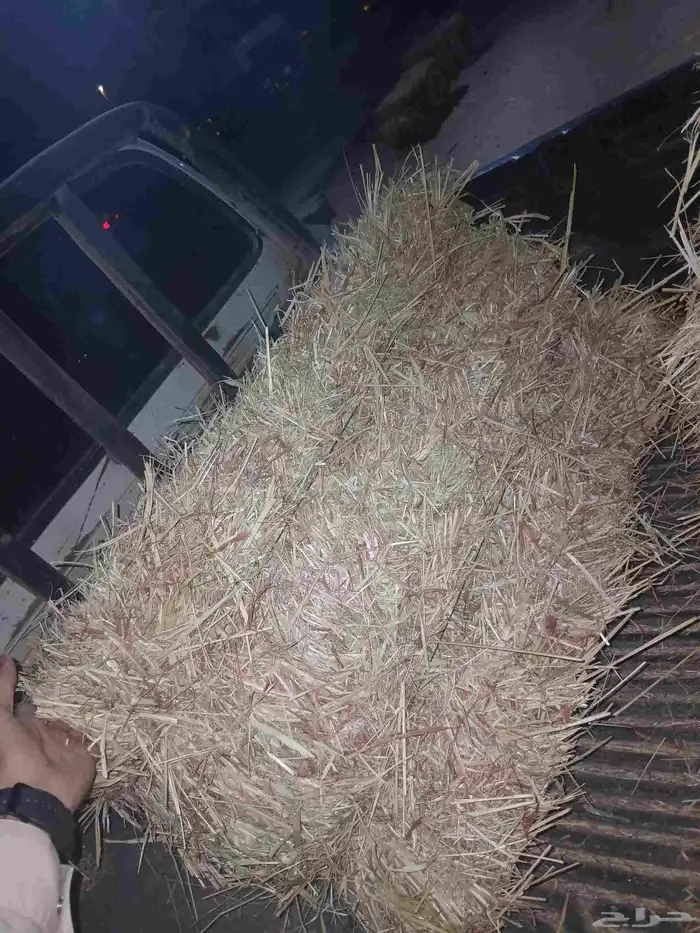 ذره حمره ناعمه للبيع 2