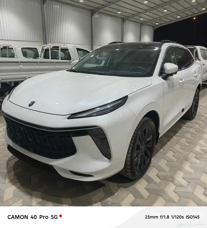 فورثنج 3