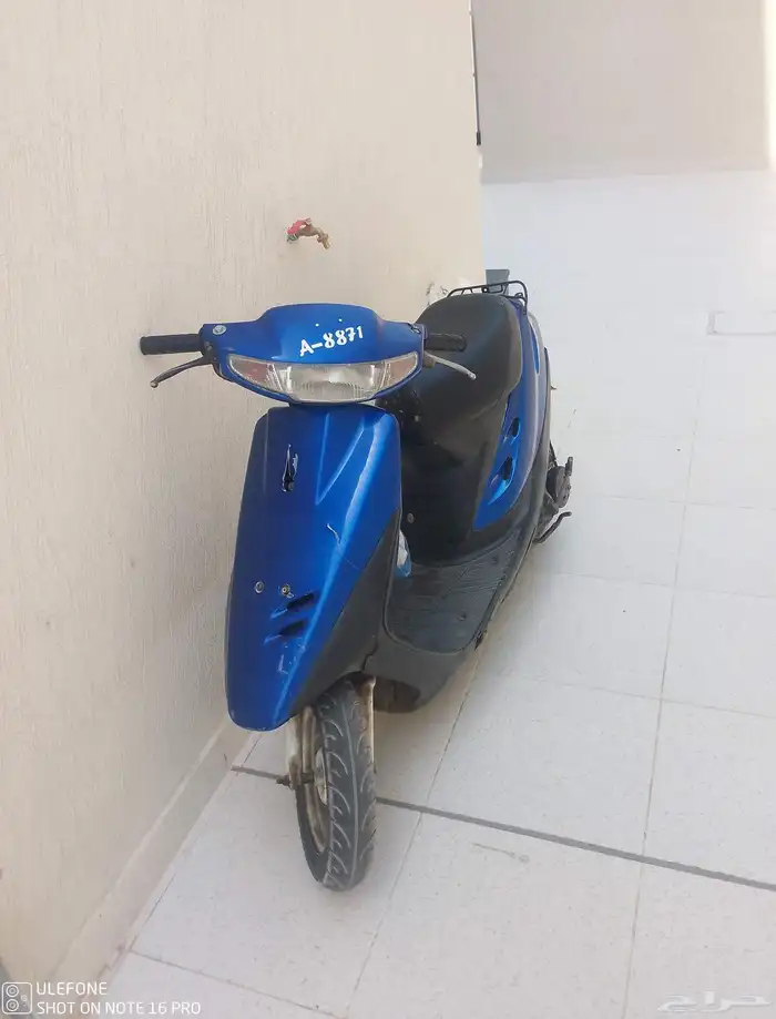 دباب البط نظيف 0
