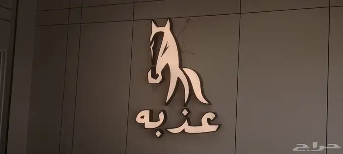 تصميم وقص ليزر و تصنع لوحات محلات حروف بارزة مضيئه 6