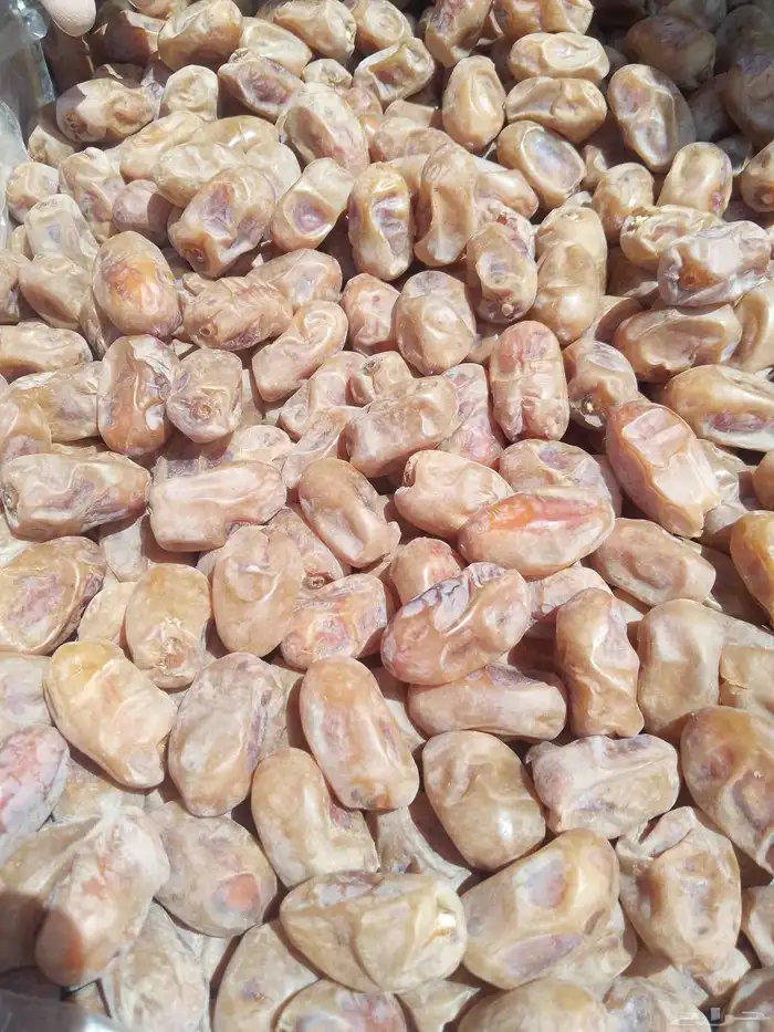 يوجد لدينا تمور فاخره للبيع اخلاص 1