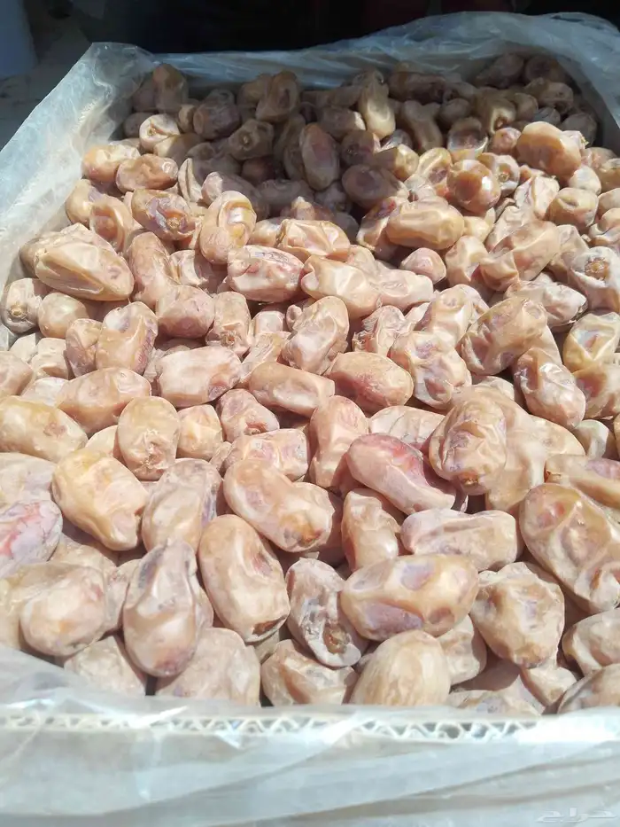 يوجد لدينا تمور فاخره للبيع اخلاص 2