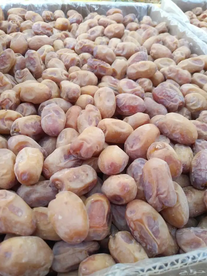 يوجد لدينا تمور فاخره للبيع اخلاص 8