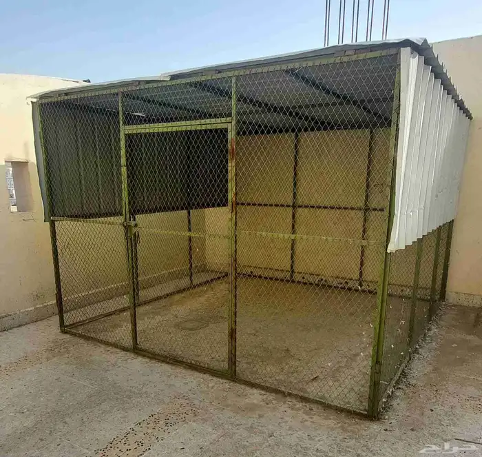 قفص بقلاوة للحمام 2
