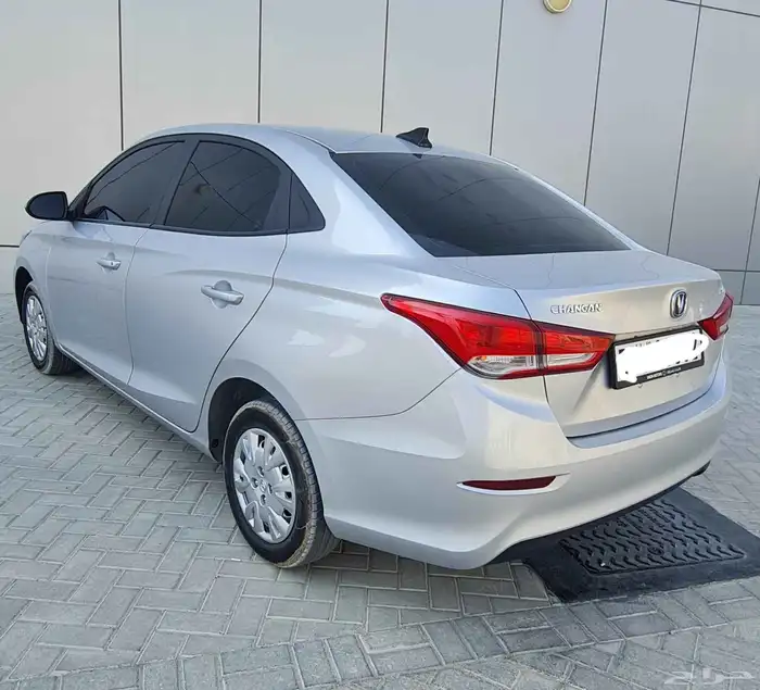 شانجان السفين 2024 1