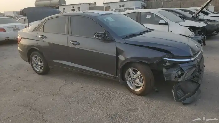 هولندا اكسنت 2025 0