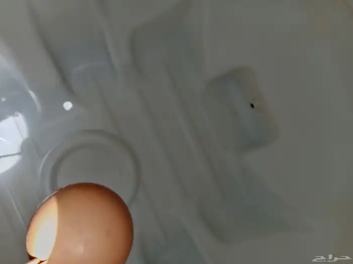 نظافة خزانات علويه 3