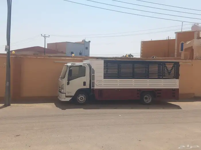 دينا ايسوزو المشاوير الداخليه جدة 0