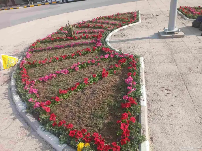 تنسيق حدائق 5