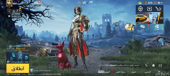 حساب ببجي للبيع بسعر رخيص 13