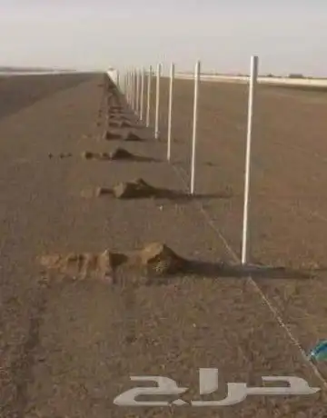 نقوم بتوريد وتركيب الشبوك الزراعيه والسياجات الامنيه 3