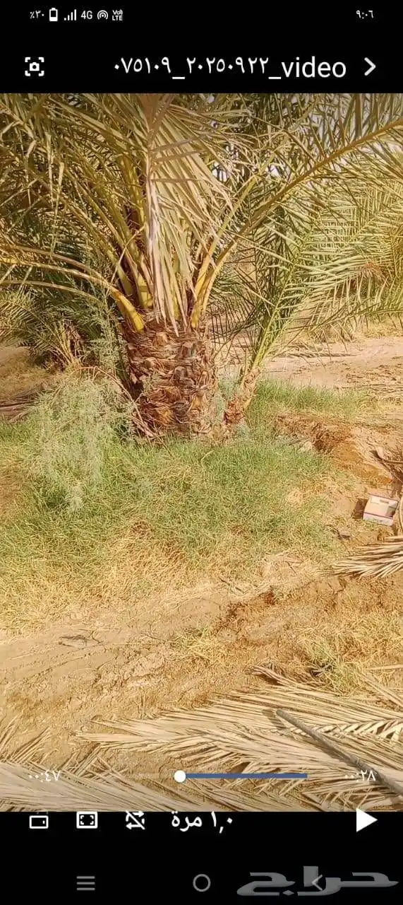مزراع الغاط المجمعه الزلفي سدير شقراء اشيقر 2