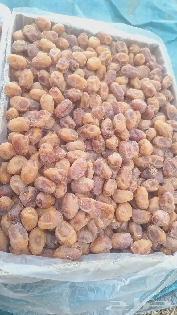 تمر اخلاص للبيع 4