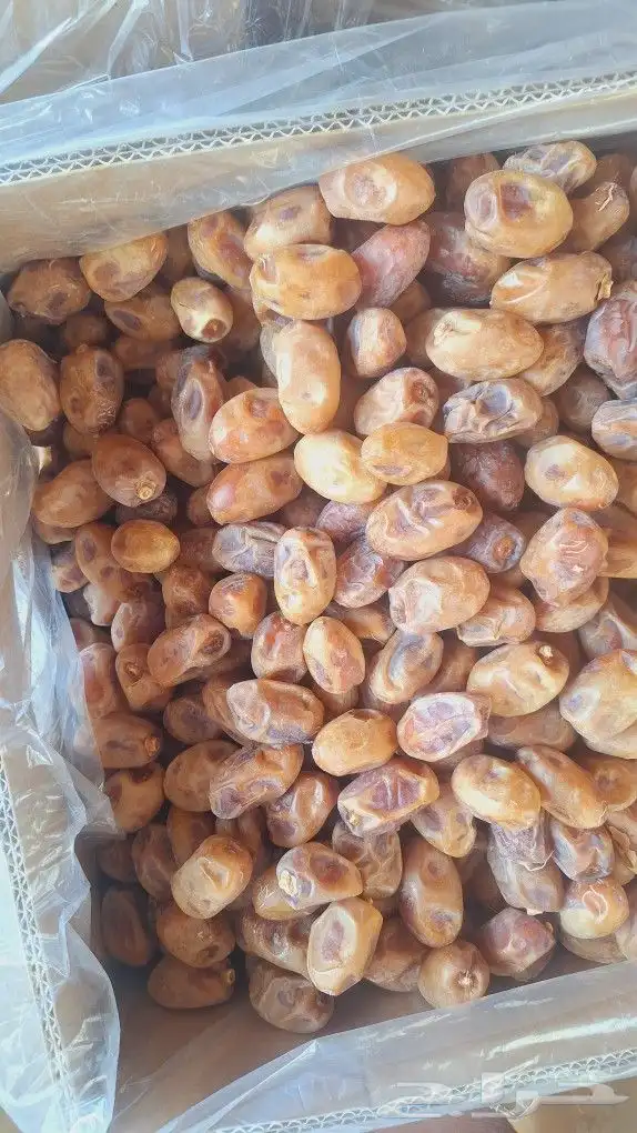 تمر اخلاص للبيع 0