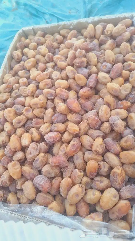 تمر اخلاص للبيع 3