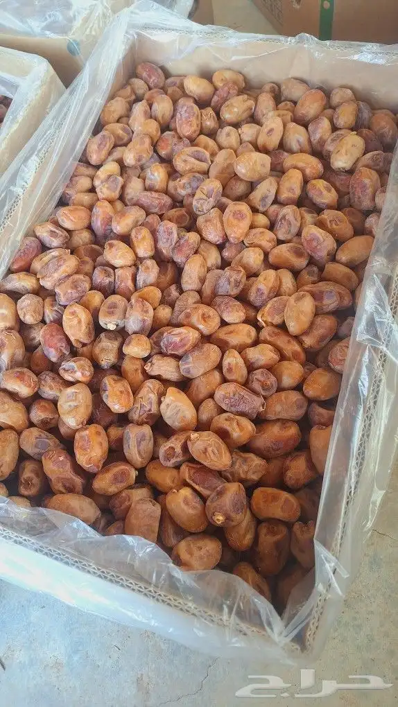 تمر اخلاص للبيع 2