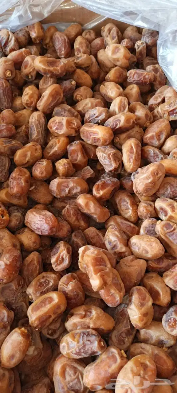 سلام عليكم ورحمة الله وبركاته 2
