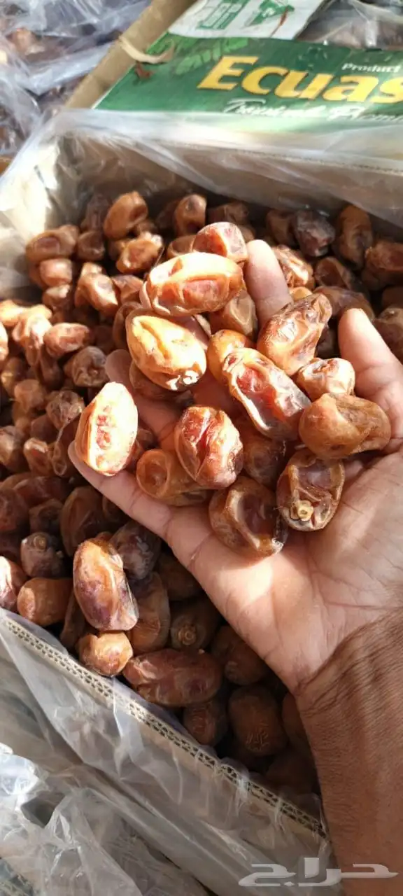 سلام عليكم ورحمة الله وبركاته 3