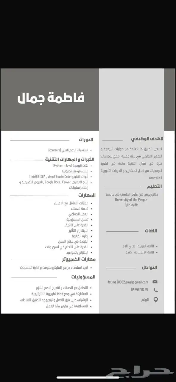 سيرة ذاتية احترافية 1
