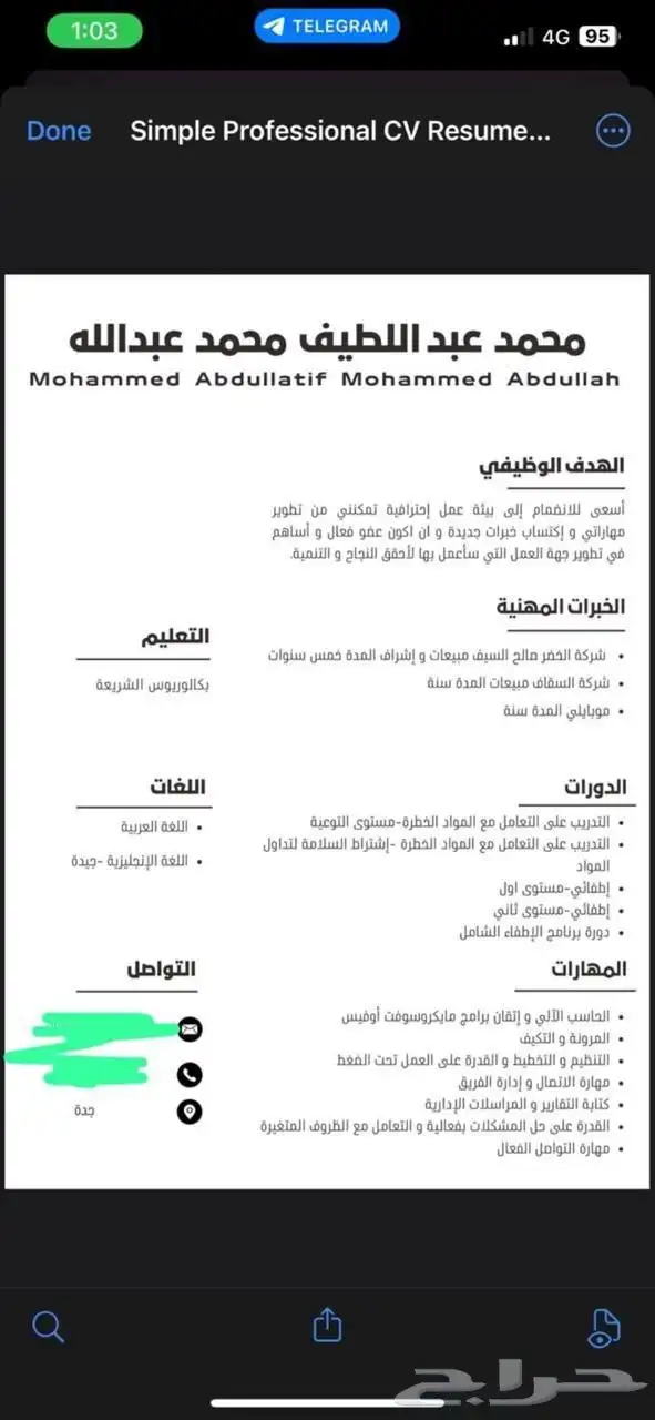 سيرة ذاتية احترافية 7