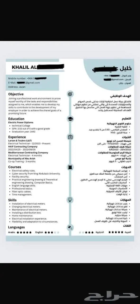 سيرة ذاتية احترافية 3