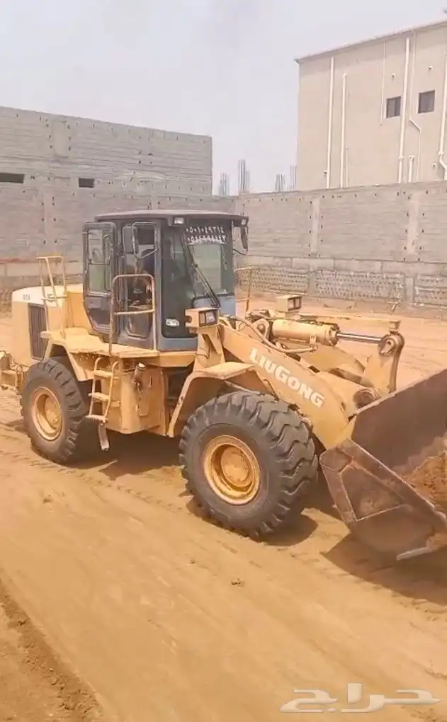 شيول صيني لوقنق 2013 1