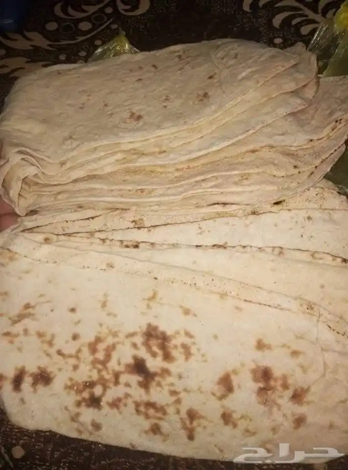 بطارخ حميد بورسعيد 6