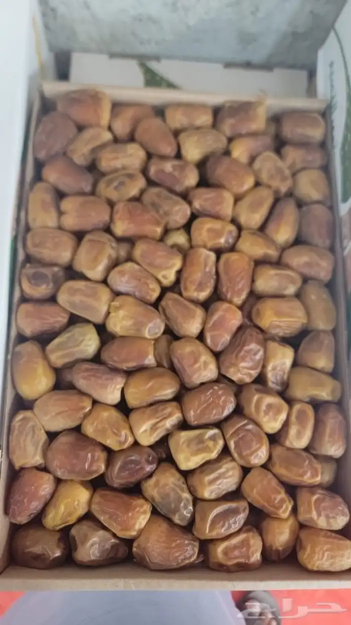 تمر مفتل سكري وصقعي وجلكسي ونبتة علي ورشوديه جمله وقطاعي تمو 0