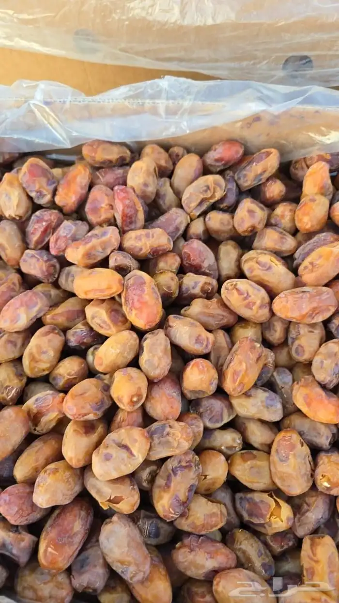 خلاص اشقر جانبو فله 2