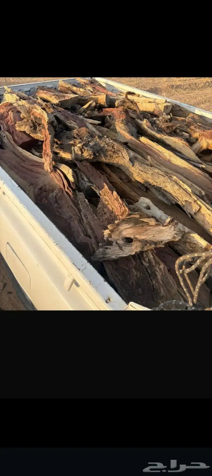 ددسن غماره نضيف على الشرط 0