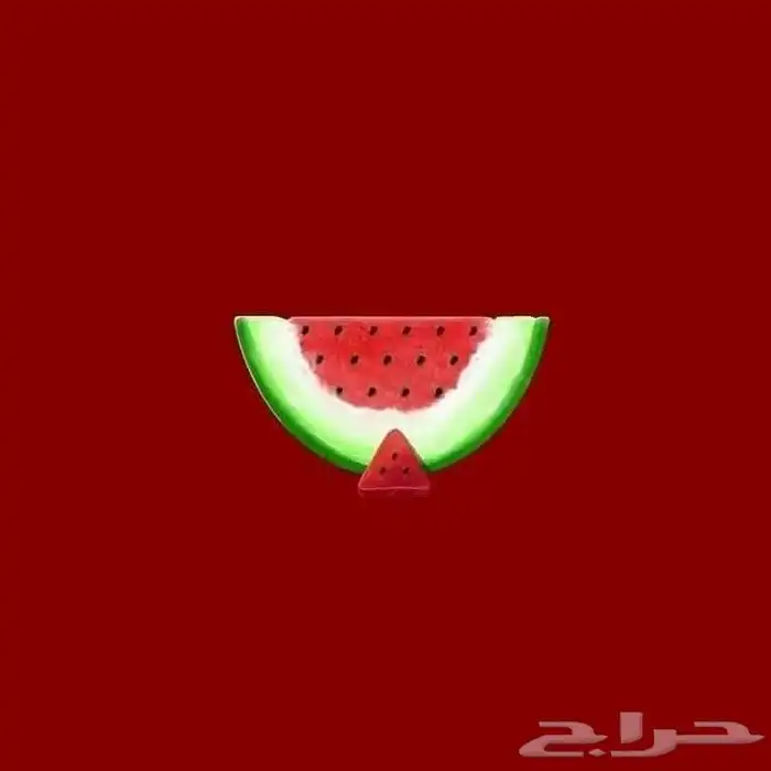 حفظ قران وتأسيس لغتى 1