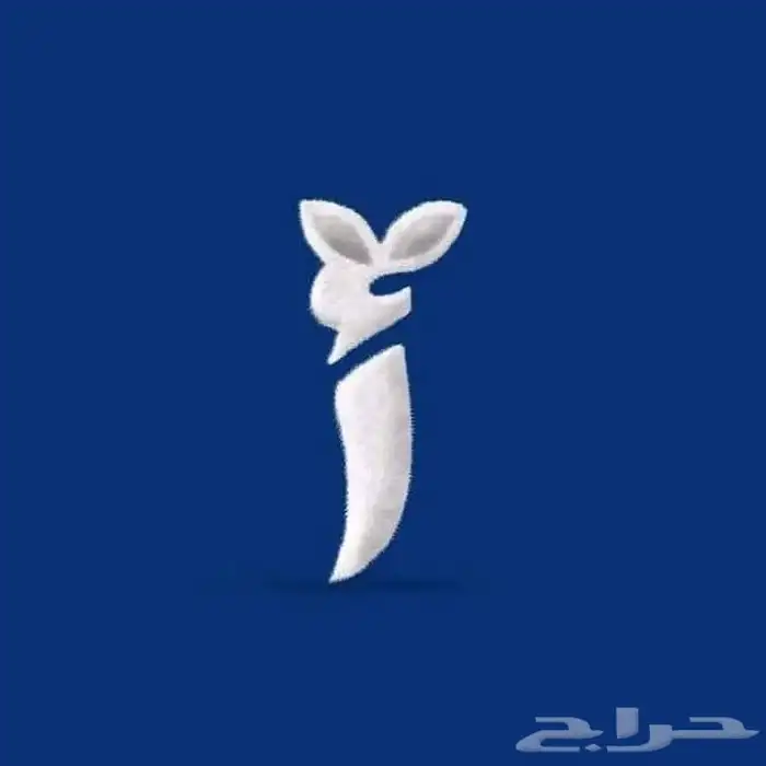 حفظ قران وتأسيس لغتى 0