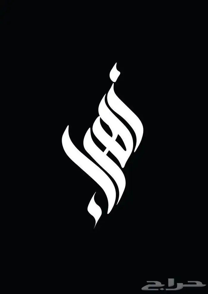 تصميم لوجو احترافي وتسليم فوري 2