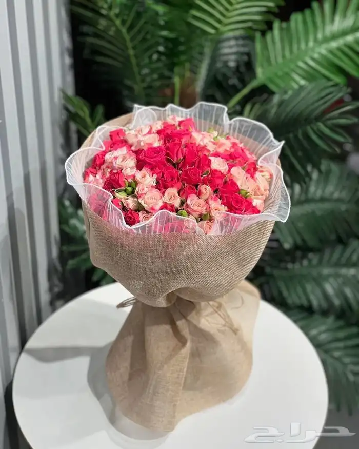 مندوب هدايا 2
