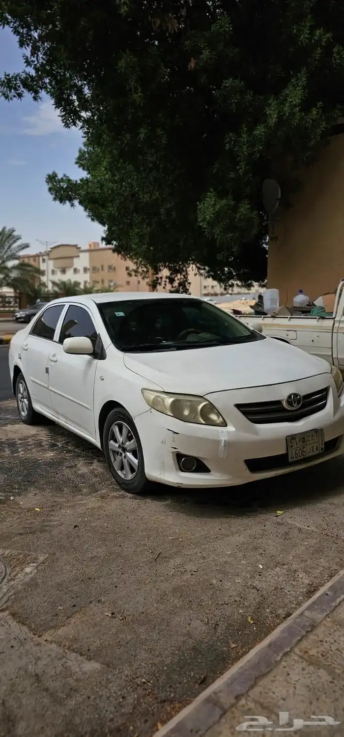 كورلاء للبيع 0