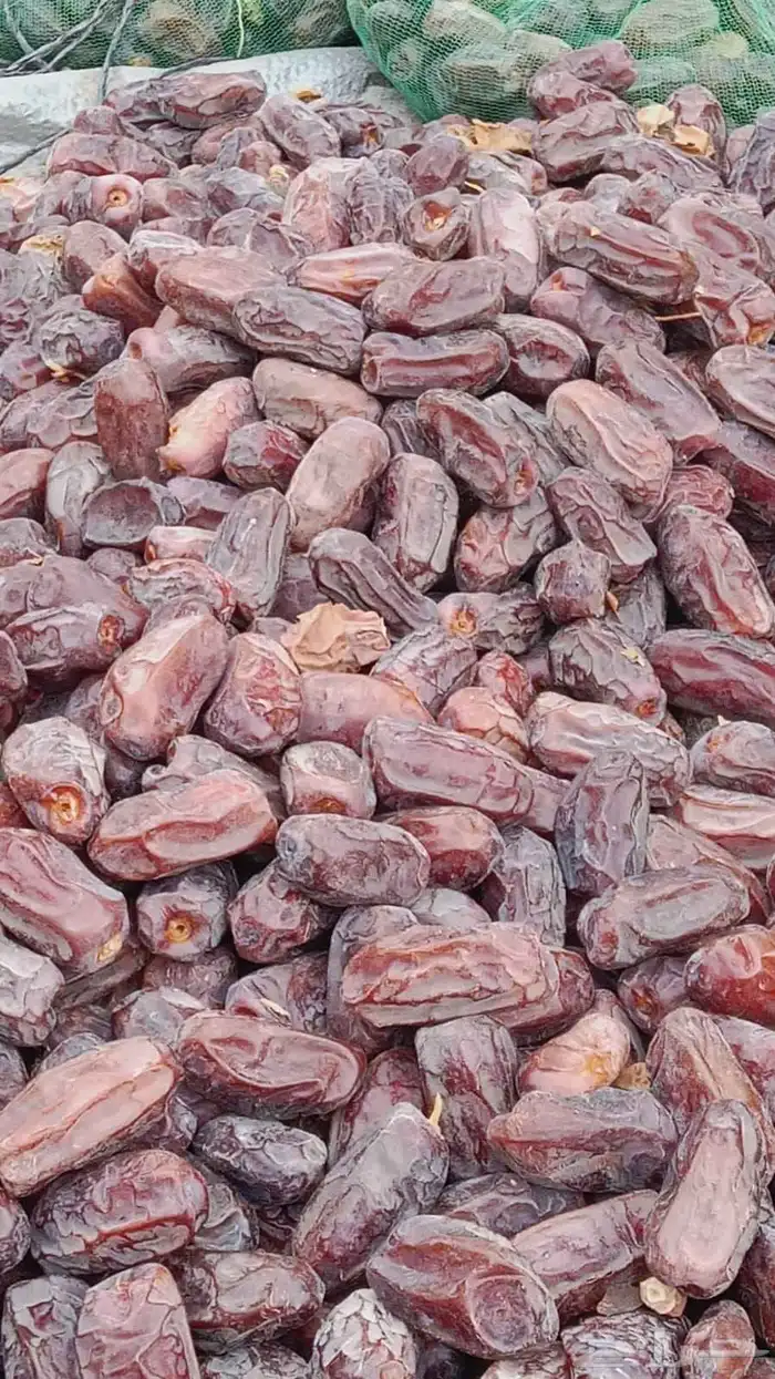 يوجد الدينا عدات نواع تمور خلاص وخظري 1