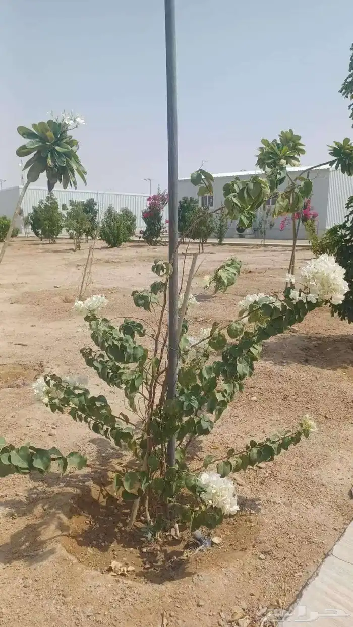 مشتل زراعي 7
