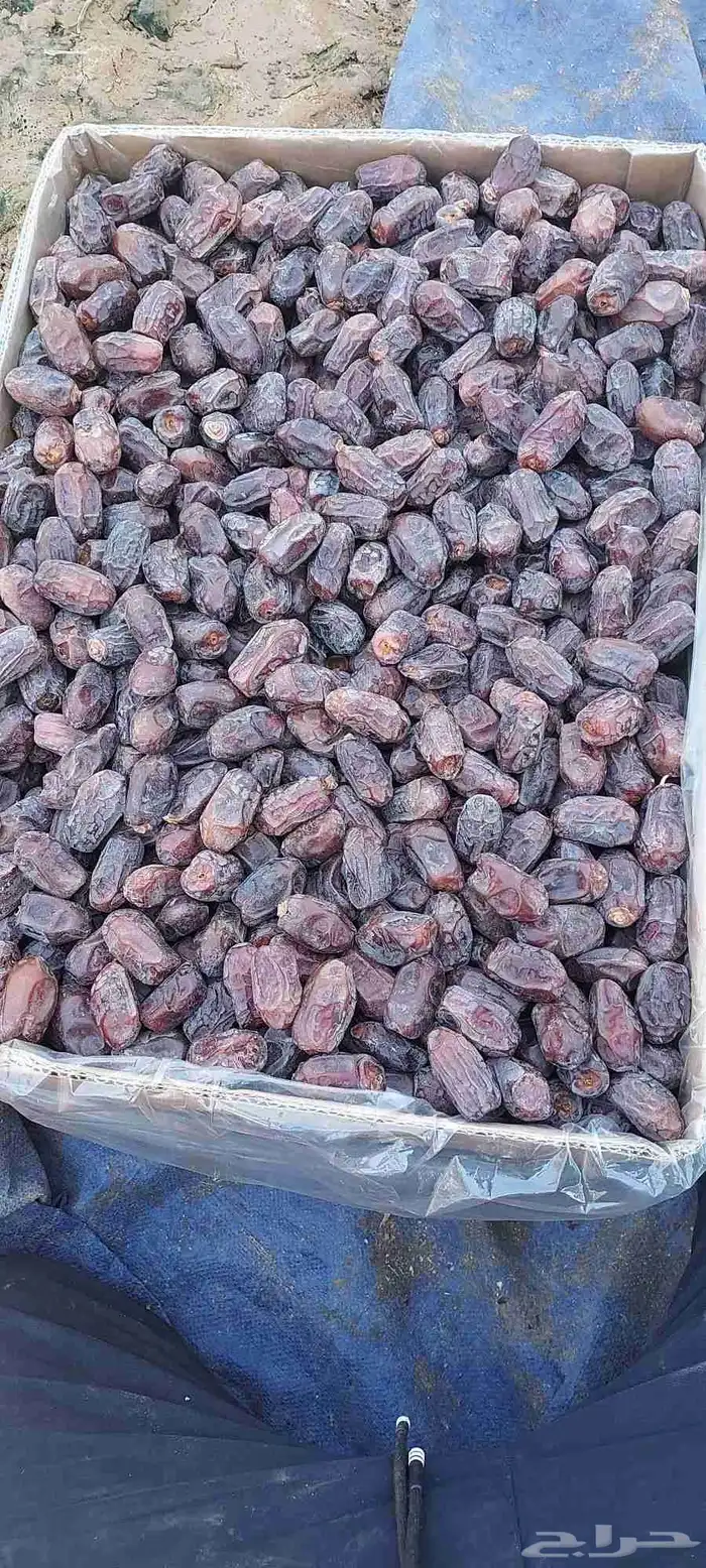 يوجد خضري طيب طيب 2