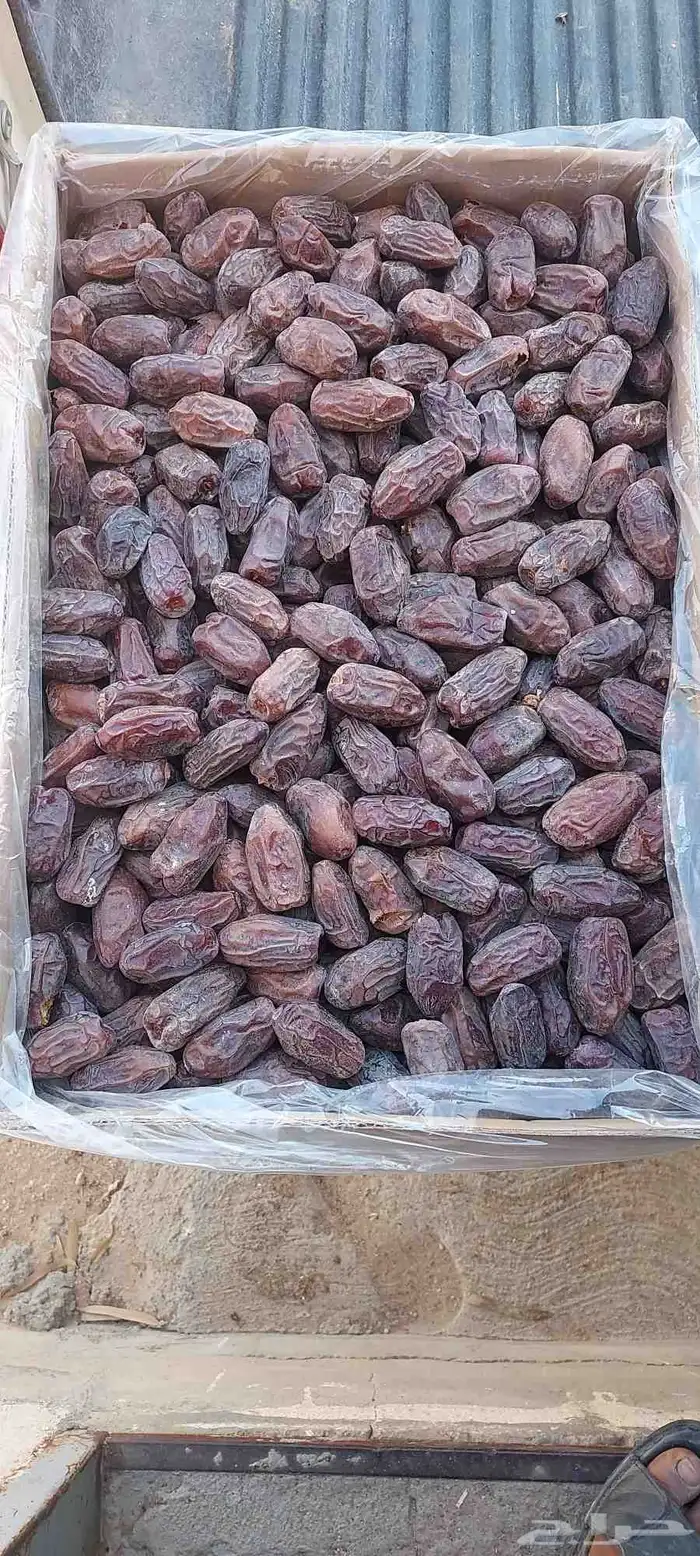 يوجد خضري طيب طيب 3