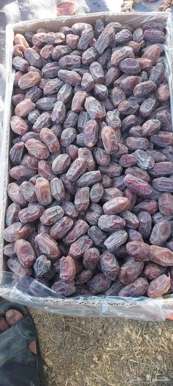 يوجد خضري طيب طيب 0