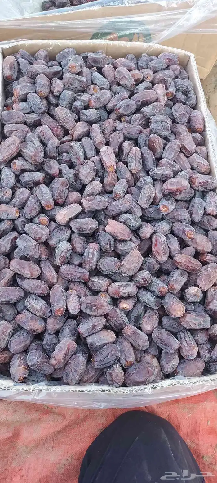 يوجد خضري طيب طيب 1