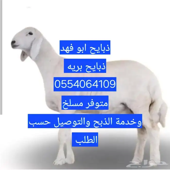 طليان ذبايح تفريد يوجد مسلخ وتوصيل 1