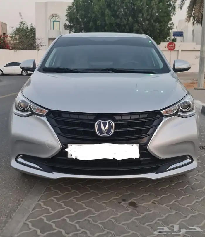 شانجان السفين 2024 4